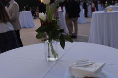 GraduacionBachillerato13